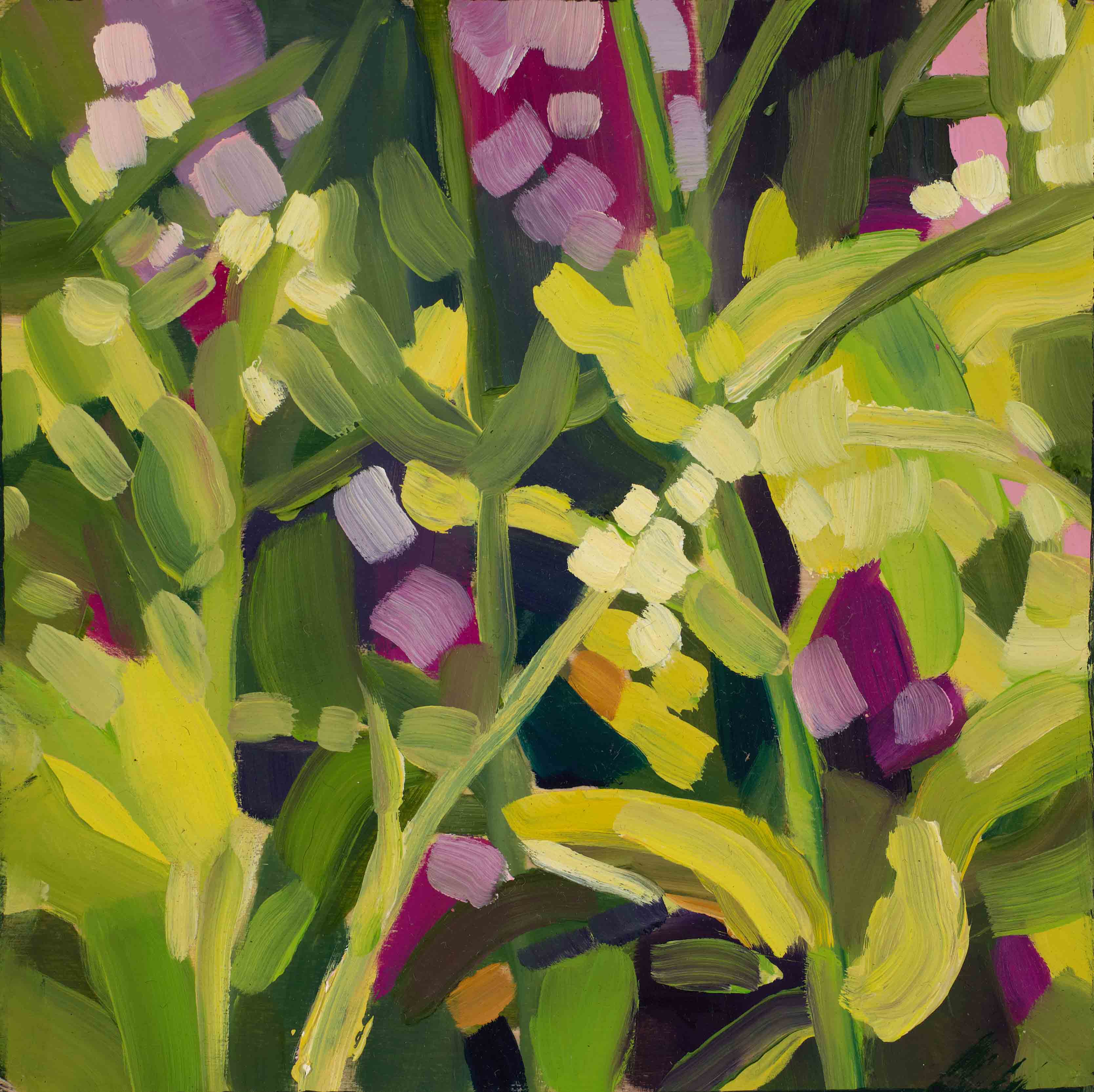 Meadow Studies 8, 2025, oil on panel, 6 x 6 inches