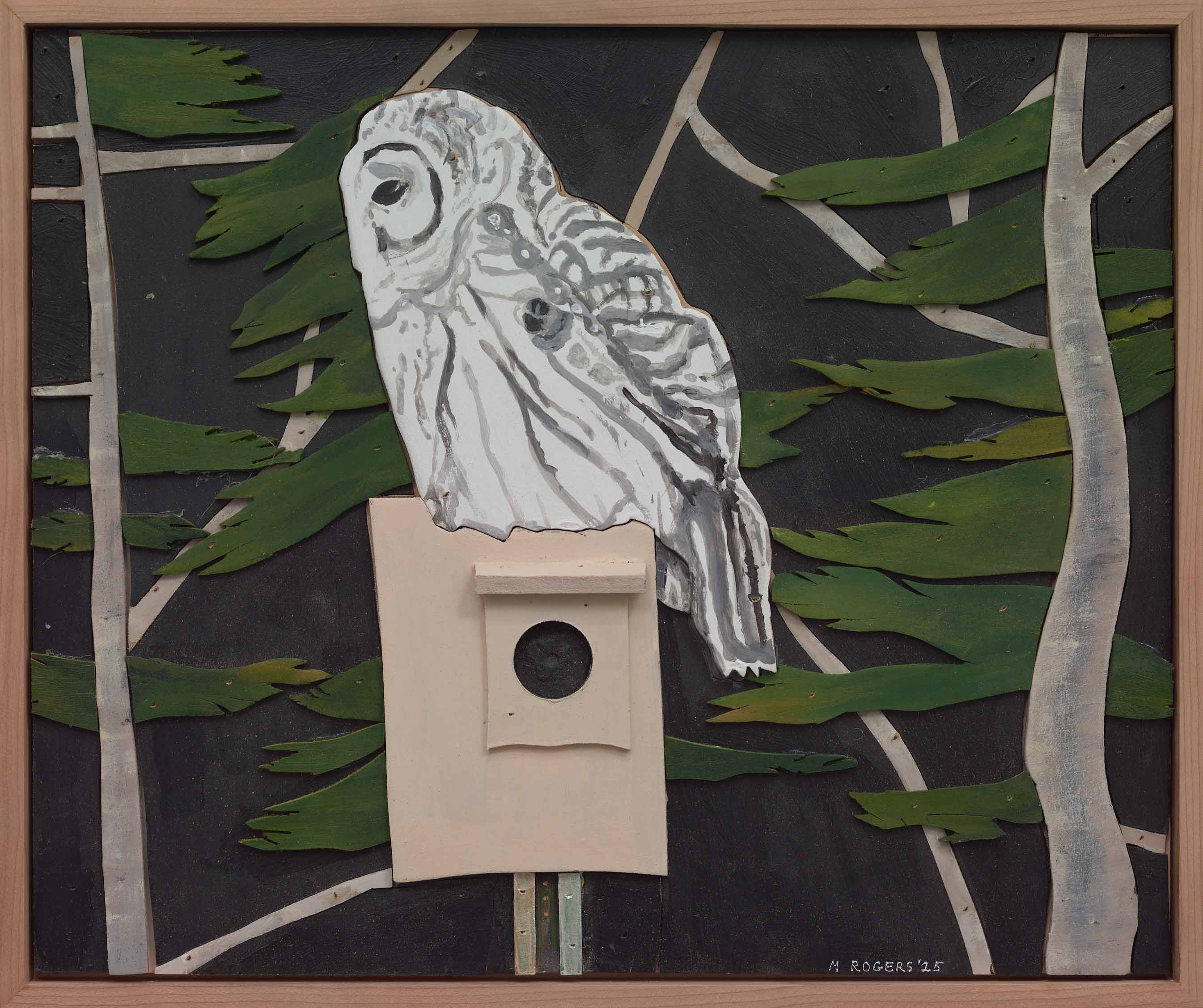 Barred Owl, 2025, mixed media, 14.5 x 17.25 inches