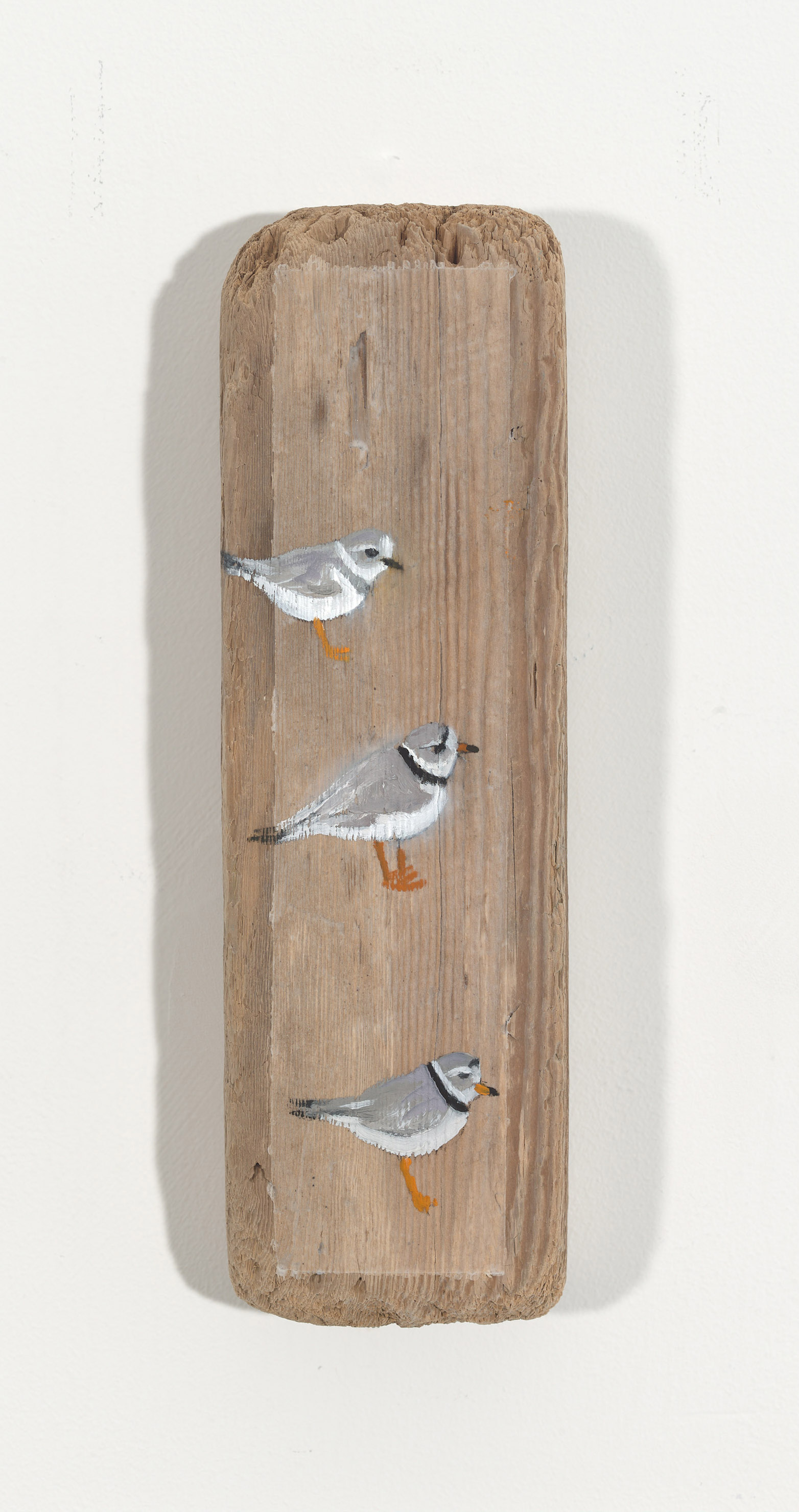 Piping Plovers, 2026, oil on driftwood, 12.5 x 3.75 x 2 inches